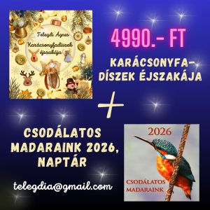 Karácsonyfadíszek éjszakája + 2026 Naptár