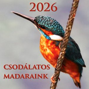 Csodálatos Madaraink 2026 Naptár
